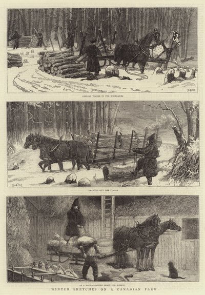 Winter Sketches on a Canadian Farm by Samuel Edmund Waller